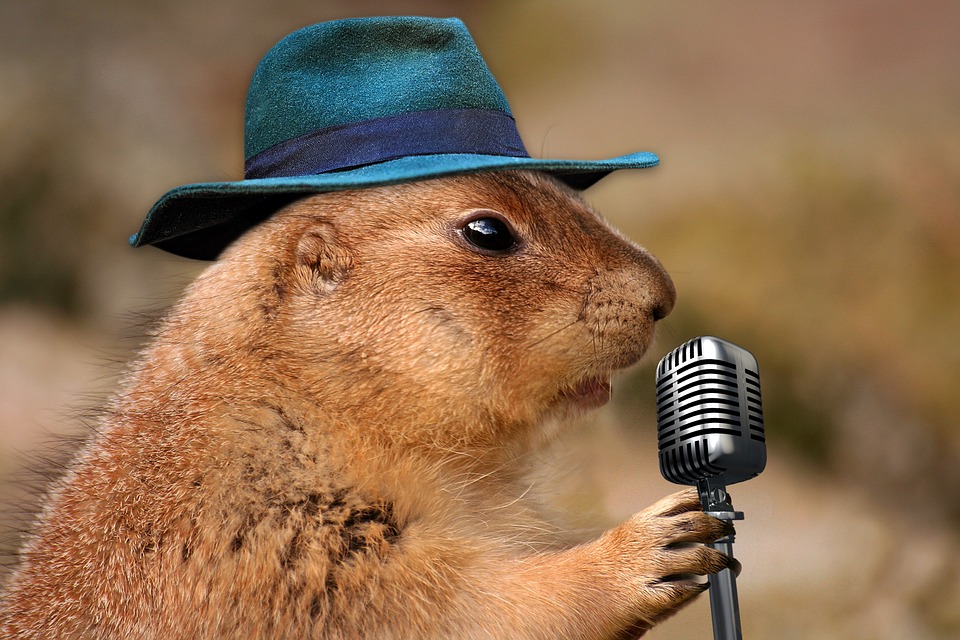 Get Out of Groundhog Day: 4 Easy Changes to Re-Energise Your Business